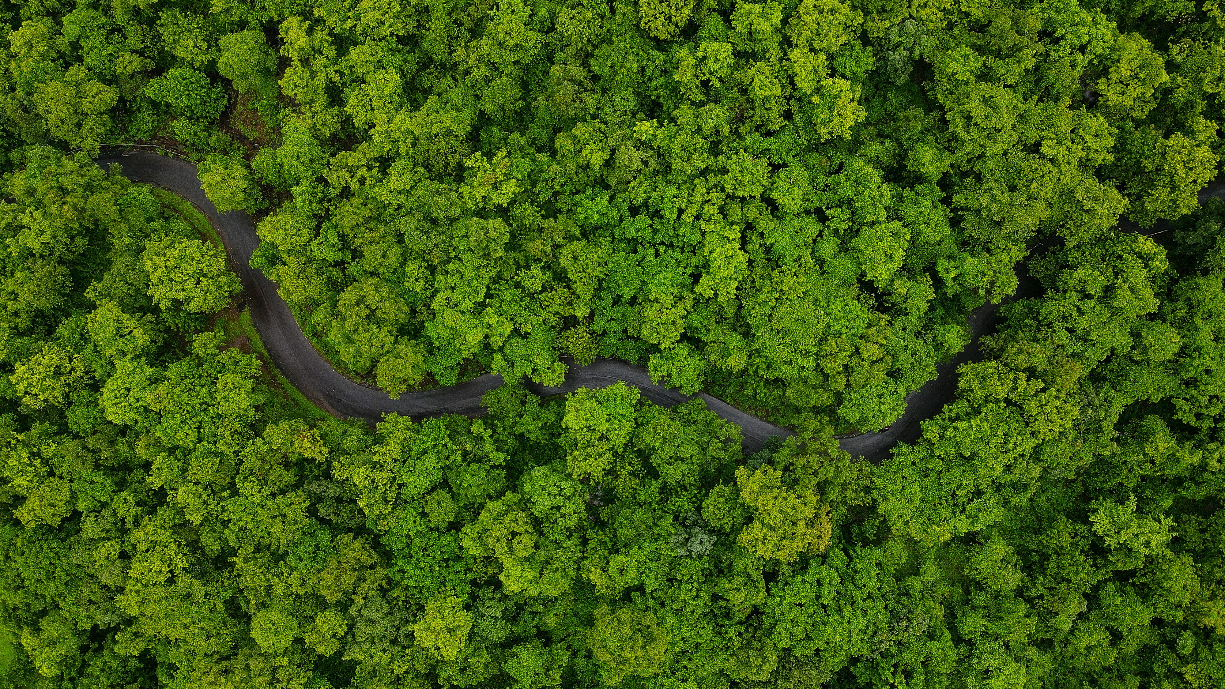 Floresta Amazônica